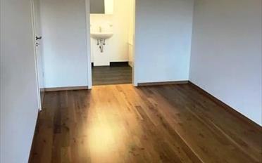 Wohnung 2.5 Zimmer - image - 3