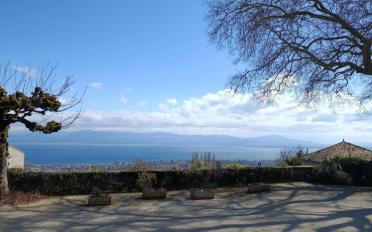 Einliegerwohnung 4.5 Zimmer - image - 2