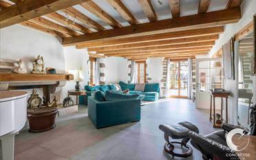 Single house 11 rooms - image - 3