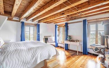Single house 11 rooms - image - 7
