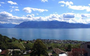 Apartment 4.5 rooms - image - 6