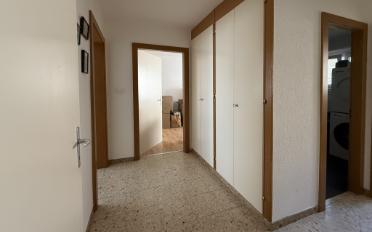 Wohnung 3.5 Zimmer - image - 6