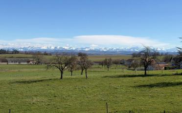 Reihenfamilienhaus 4.5 Zimmer - image - 12