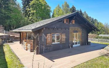 Chalet 4 rooms - image - 2