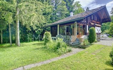 Chalet 4.5 rooms - image - 2