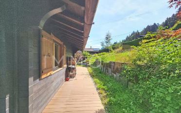 Chalet 4 rooms - image - 5