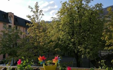 Wohnung - image - 1