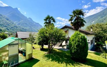 Single house 6 rooms - image - 2