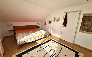 Villa 8 Zimmer - image - 26