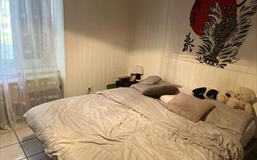 Single house 8 rooms - image - 10
