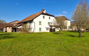 Farm house 5.5 rooms - image - 3