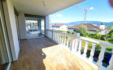 Villa 10 Zimmer - image - 28