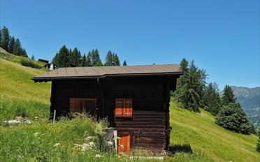 Chalet 4.5 rooms - image - 9