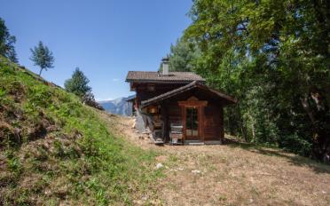 Chalet 2.5 Zimmer - image - 1