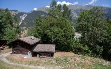 Chalet 2.5 Zimmer - image - 3