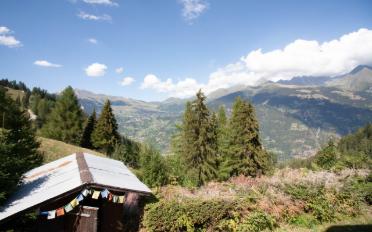 Chalet 4.5 Zimmer - image - 3