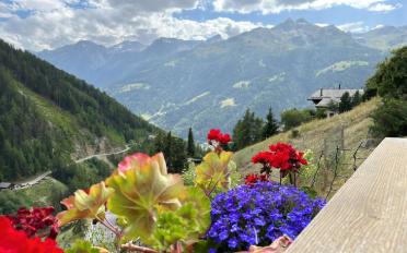 Chalet 5.5 rooms - image - 19