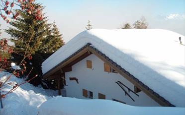 Chalet 7 pièces - image - 2