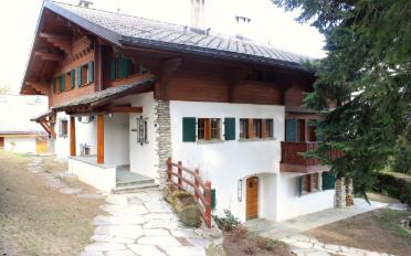 Chalet 8 pièces - image - 1