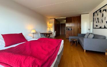 Apartment 1 room - image - 2