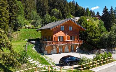 Chalet 6 Zimmer - image - 1