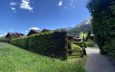 Bauland - image - 5