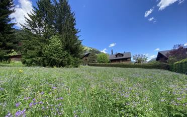 Bauland - image - 2