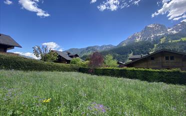Bauland - image - 1