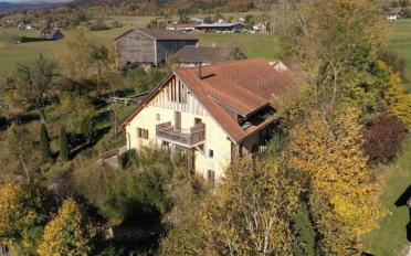 Single house 20 rooms - image - 1