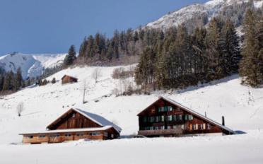 Chalet 8 rooms - image - 2