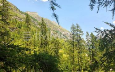 Bauland - image - 5