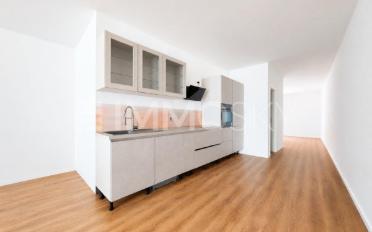Wohnung 2.5 Zimmer - image - 1