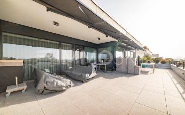 Terrassenwohnung 4.5 Zimmer - image - 5