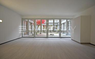 Studio 3.5 rooms - image - 5