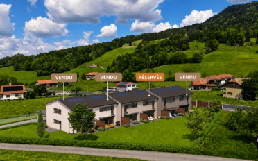 Einfamilienhaus 5.5 Zimmer - image - 1