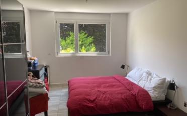 Wohnung 4.5 Zimmer - image - 4