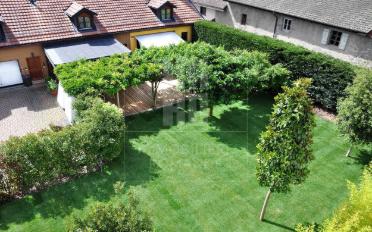 Farm house 8 rooms - image - 2
