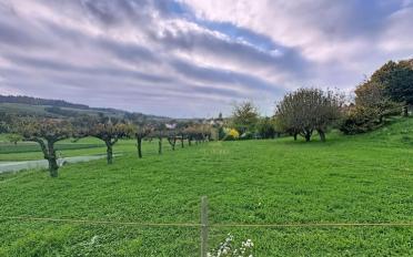 Villa 4.5 pièces - image - 10