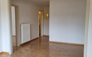 Wohnung 3 Zimmer - image - 5