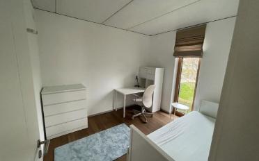 Appartement 3.5 pièces - image - 5