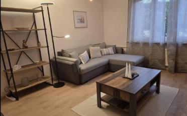 Wohnung 2.5 Zimmer - image - 4