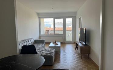 Furnished flat 3.5 rooms - image - 4