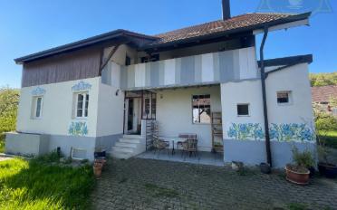 Villa 8 Zimmer - image - 1