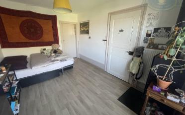 Villa 8 Zimmer - image - 9