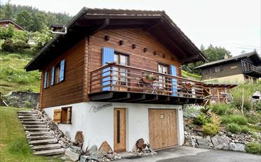 Chalet 3 rooms - image - 1