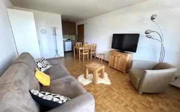 Appartement 1 pièce - image - 3