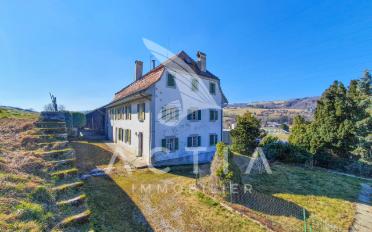 Single house 11.5 rooms - image - 2