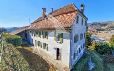 Single house 11.5 rooms - image - 1