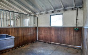 Wohnung 1.5 Zimmer - image - 7