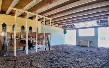 Bauernhaus 6.5 Zimmer - image - 9